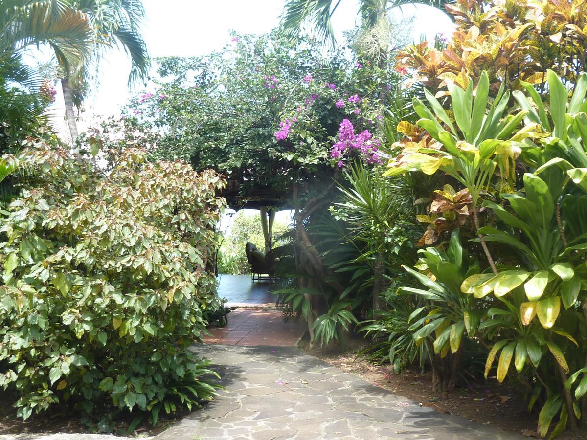Chambre d'hotes Villa Rayon Vert Deshaies Esterno foto